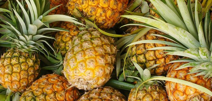 Espagne : 67 kilos de…