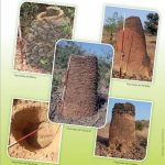 Le sites de métallurgie ancienne du fer sont désormais Patrimoine mondial de l’UNESCO